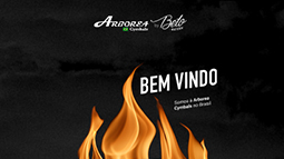 Arborea Cymbals Brasil -  Sua Melhor Escolha!